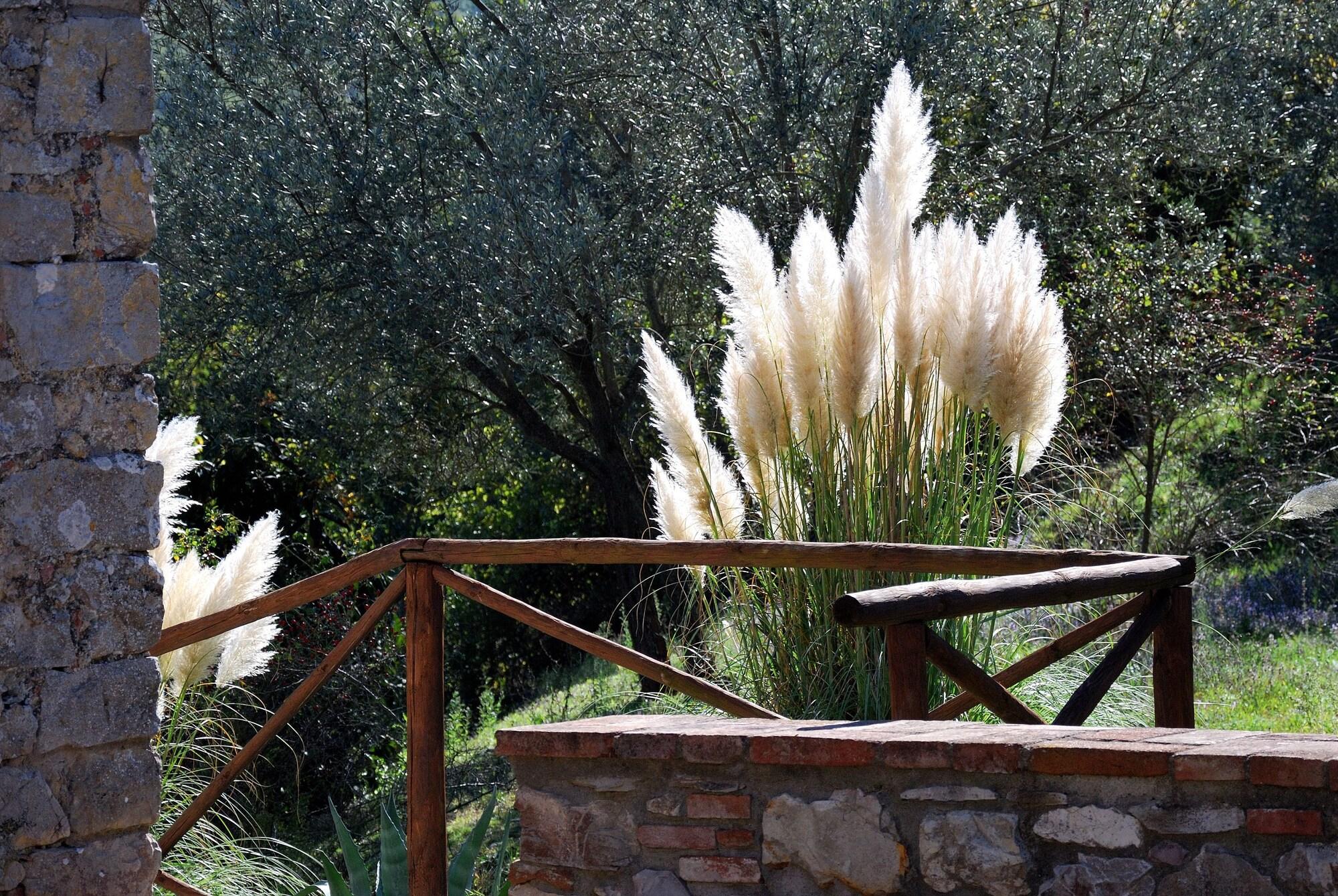 Tenuta Di Ricavo Castellina in Chianti Εξωτερικό φωτογραφία